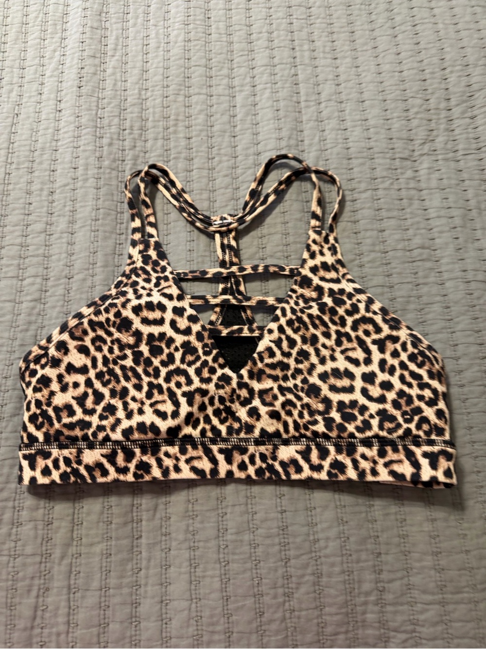 Zyia Active Leopard Grid Bra